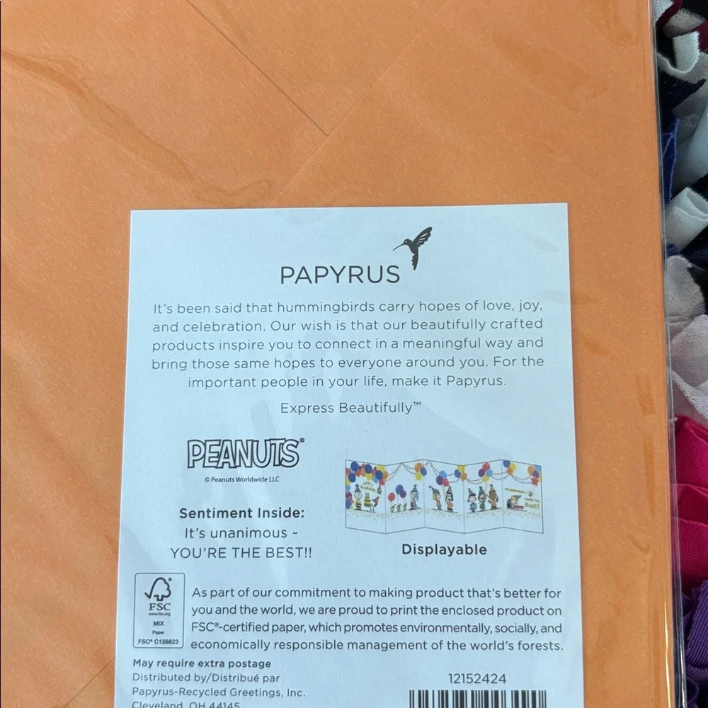 🆕Papyrus-Peanuts Displayable Birthday Greeting Card